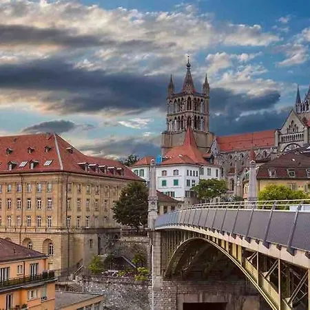 In On Edge Of Woods With River *