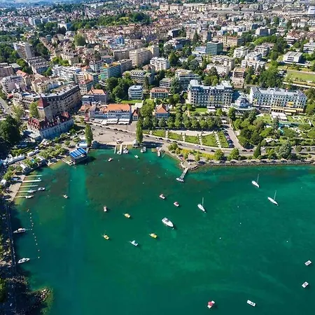 In On Edge Of Woods With River *