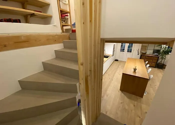 In On Edge Of Woods With River *