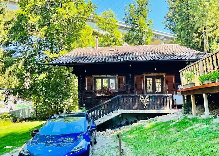 In On Edge Of Woods With River Chalet Lausanne