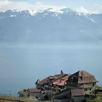 In On Edge Of Woods With River * Lausanne