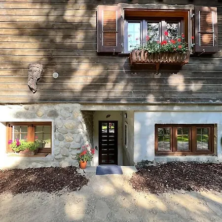 Chalet In On Edge Of Woods With River Lausanne