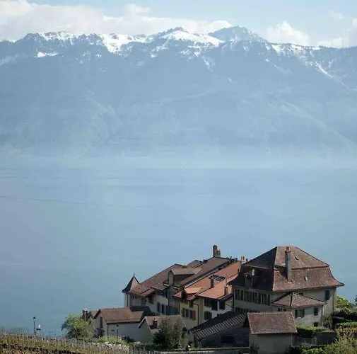 In On Edge Of Woods With River * Lausanne