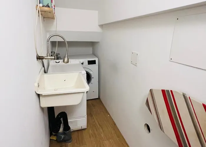 In On Edge Of Woods With River Lausanne