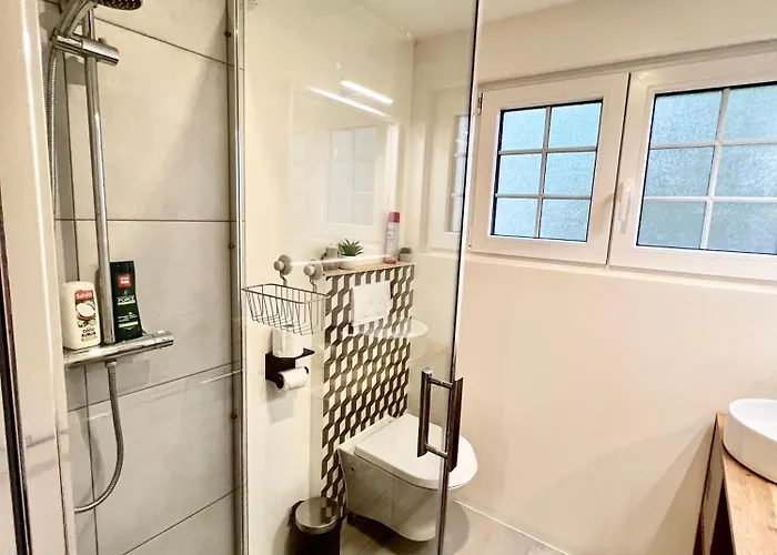 In On Edge Of Woods With River *