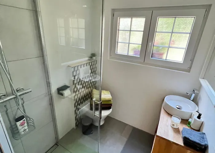 In On Edge Of Woods With River *